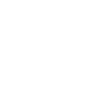 MICHIGAN STATE CREW CLUB